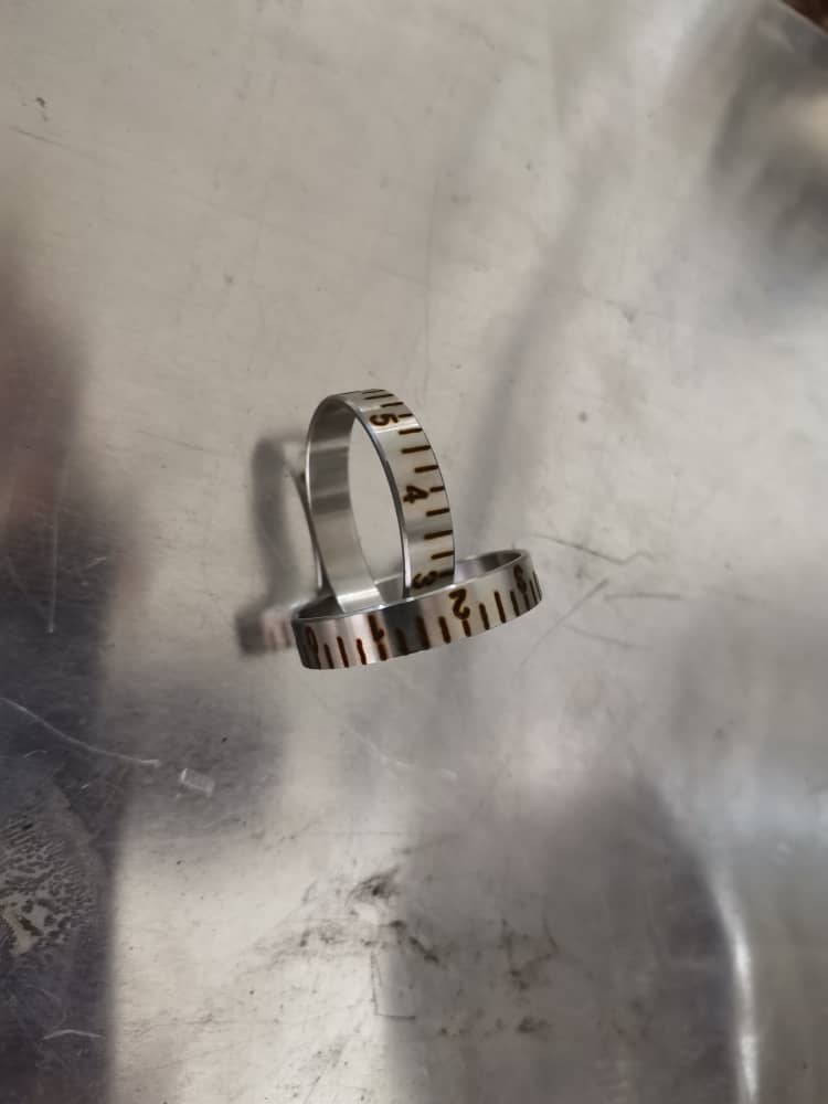 استادان ماهر